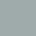 Dupli-Color DE1612 Gray engine primer spray can 12 oz